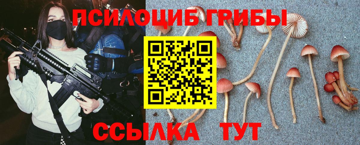 как найти наркотики  Вход с VPN  Новошахтинск  Псилоцибиновые грибы Psilocybine cubensis 